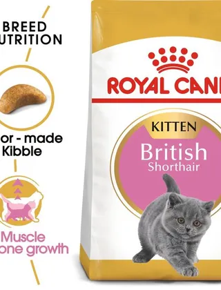 ROYAL CANIN British Shorthair